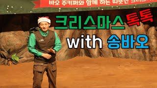 [4K/Kor Sub] 송바오님의 크리스마스 톡톡 #판다월드 #에버랜드 #바오패밀리 #송바오 #송영관사육사