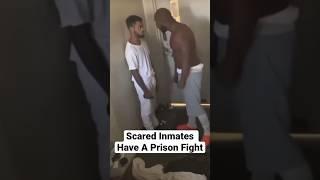 Scared Inmates Have A Prison Fight  #comedy #jail #fight #dscottgottalent