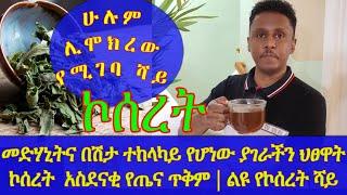 Ethiopia | መድሃኒትና በሽታ ተከላካይ የሆነው ያገራችን ህፀዋት ኮሰረት  አስደናቂ የጤና ጥቅም | ልዩ የኮሰረት ሻይ አሰራሩን ጨምሮ