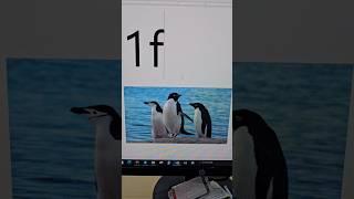 Penguin Shortcut key#windows #shortcutkeys #ytshorts #heck #tech #tricks #key #penguin #shorts
