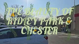 BEAUTY OF RIDELY PARK & CHESTER