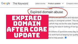 Are Expired Domains Still OK After Core Update?