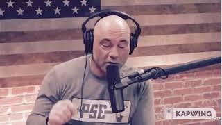 Brendan Schaub becomes Joe Rogan’s yes man, Agrees with everything 
