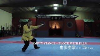 Shaolin Kungfu Basic Movements