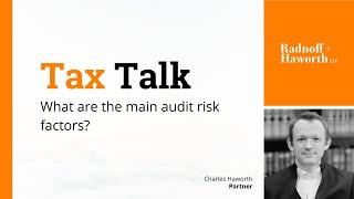 What Are the Main Audit Risk Factors?