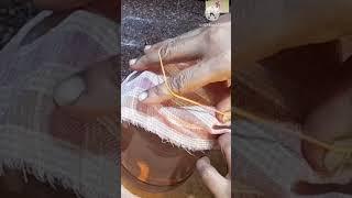 Immune booster drink in winter/ Kanji recipe/ Probiotic/ Short