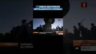 ️ Караван мигрантов движется в сторону США #сша #америка #мигранты #миграционныйкризис #shorts