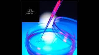 Advanced Fat to Stem Cell Protocol - With Cellular Regeneration (Morphic Field)