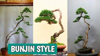 65+ INSPIRASI BONSAI GAYA BUNJIN  ( Bonsai Gaya Literati)