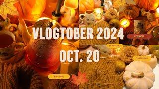 Vlogtober Oct. 20, 2024 / Mini Podcast (New Cast On & Cross Stitch Purchases)