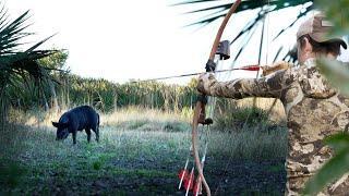 UP CLOSE Ground Hunting Hogs - Recurves and Self BOWS!