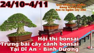 24/10 triển lãm cây cảnh bonsai tại bình dương 1_ 1 số tác phẩm bonsai đẹp  tại hội thi bonsai 2023