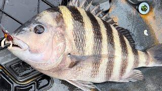 Sheepshead Fishing with Artificial Crabs