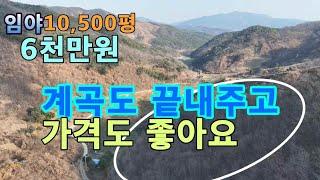 (360번 매물)임야 평당5,700원.총6천만원.면적 1만500평.자연계곡접.배짱편한 곳.완경사지가 일천평 이상 포함.준보전산지 일천평 이상 있음.전기 기본.자연힐링이나 주말쉼터용