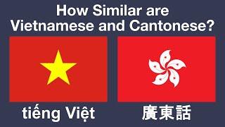 How Similar are Vietnamese and Cantonese?