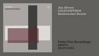 Jim Rivers: Calycanthus (Bushwacka! Remix)