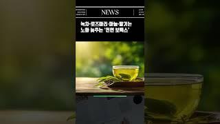 녹차·로즈마리·마늘·딸기는 노화 늦추는 ‘천연 보톡스’
