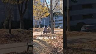 [임영웅60대 노부부이야기]세월은 그렇게 흘러 여기까지 왔는데 인생은 그렇게 흘러 황혼에 기우는데~~️