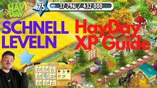 SCHNELL LEVELN HAYDAY - Die wirklich besten Tipps und Tricks Part 1 - schnell XP | EinfachPaul