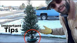  THE GREATEST Christmas Tree Stand - Tips from a Christmas Tree farmer - Krinner's Tree Stand