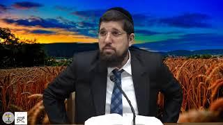 הרב אליהו עמר שליטא   מהי סגולת אמירת ההגדה