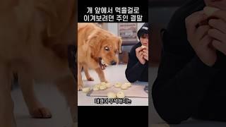 "개는 안씹어도 된다던데.." 댕댕이에게 빨리먹기 도전장 내민 주인 결말