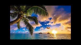 Happy UKULELE Music 10 Hours - Summer Ukulele Instrumental Background Cheerful, Joyful and Upbeat