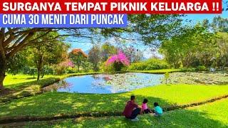 KEBUN RAYA CIBODAS TERBARU 2024‼️ SURGANYA TEMPAT PIKNIK UNTUK KELUARGA | WISATA HITS PUNCAK CIANJUR