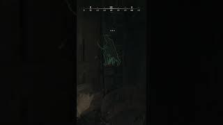 He was contemplating life #gaming #pvp #huntshowdown