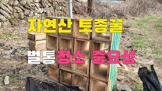 자연산 토종꿀 사각토종벌통(설통)청소 작업 했어요