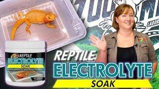 Zoo Med Reptile Electrolyte Soak