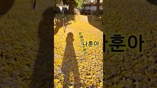 #나훈아 #잊을수있을까