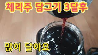 체리주 담그기 3개월 후 모양과 맛(Homemade cherry wine)