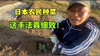 日本公婆農村種菜，一翻操作，看懵中國兒媳：這樣太講究了吧！