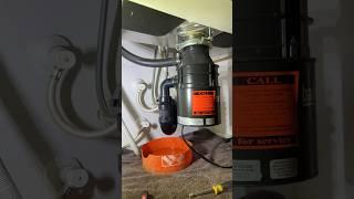 InSinkErator or Moen garbage disposal?