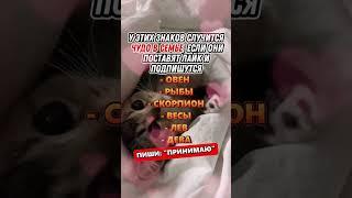 Что ждёт тебя до конца года  #астрология #гороскоп #знакизодиака