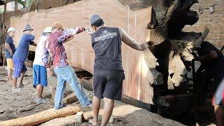 NATURE'S MIRACLE! GIANT MAHOGANY WOOD BECOME QUALITY BOARDS AT THE SAWMILLIN