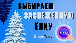 Искусственные елки | Обзор ТОП-3 заснеженных елок от GreenTerra