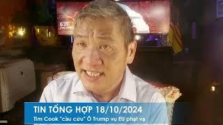 TIN TỔNG HỢP 18/10/2024