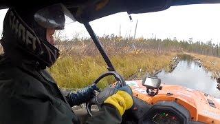 В эфире «Инсит-ТВ» появились две новые программы
