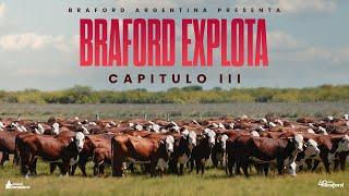 Capitulo 3 - "BRAFORD EXPLOTA" - Serie Braford 40 Años