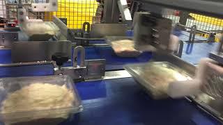 Dodman inline merging conveyor