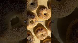 These sourdough bagels are LIFE CHANGING (and surprisingly easy to make!) Detailed how to recipe!