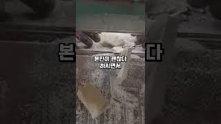 불만 많은 시어머니 어떻게 대응해야 하죠? #썰 #썰모음 #사연 #공감 #고민 #추천 #추천떠라 #시어머니