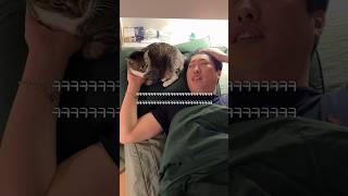 캔따개한테 꼬리치는 고양이 #shortvideo #shots #고양이 #시트콤