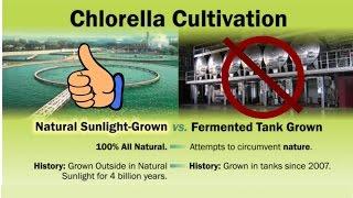 Weird Chlorella Cultivation Techniques