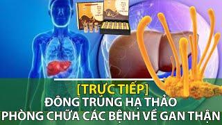 Đông trùng hạ thảo: Phòng trị các bệnh về gan thận | Sức khỏe vàng VTC16