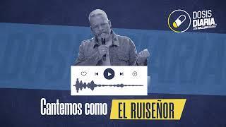 Dosis Diaria Roka - Cantemos como el ruiseñor