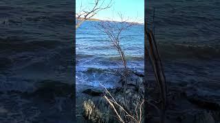 windy ocean scenery