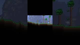 The terraria multiplayer experience #funny #terraria #moddedterraria #edit #mdp #thorium